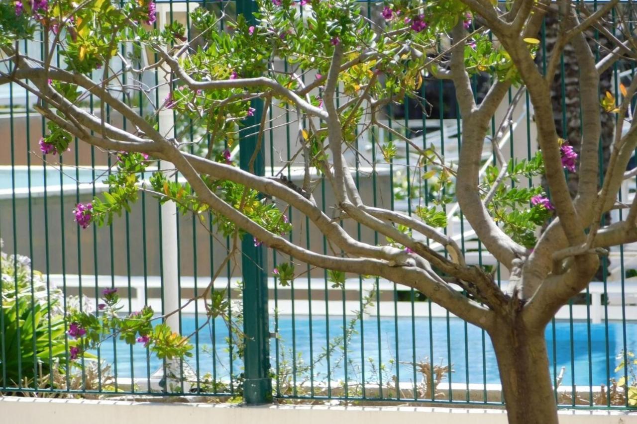 Apartament "T2 "Antibes Les Pins 3" Air Conditionned Sea View With Parking And Pool" Zewnętrze zdjęcie